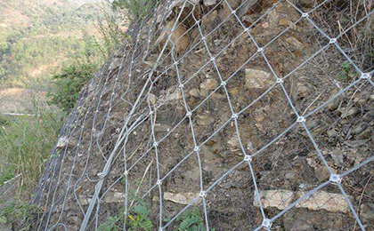  邊坡綠化網(wǎng)