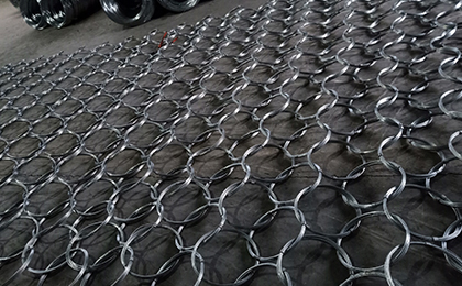 環(huán)形網(wǎng)