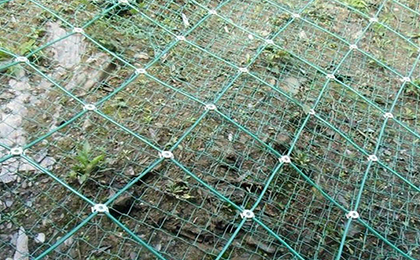  邊坡綠化網(wǎng)